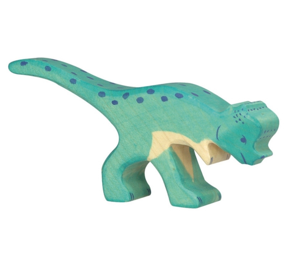 Afbeeldingen van Pachycephalosaurus dino Holztiger