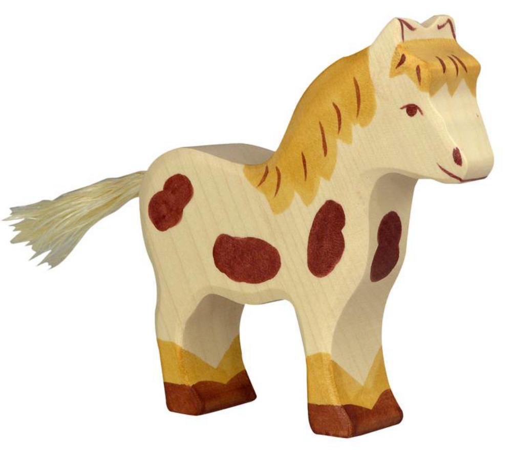 Bild von Pony Holztiger