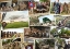 Image de SALE!!!   Puzzel 1000 stukjes Operation Market garden