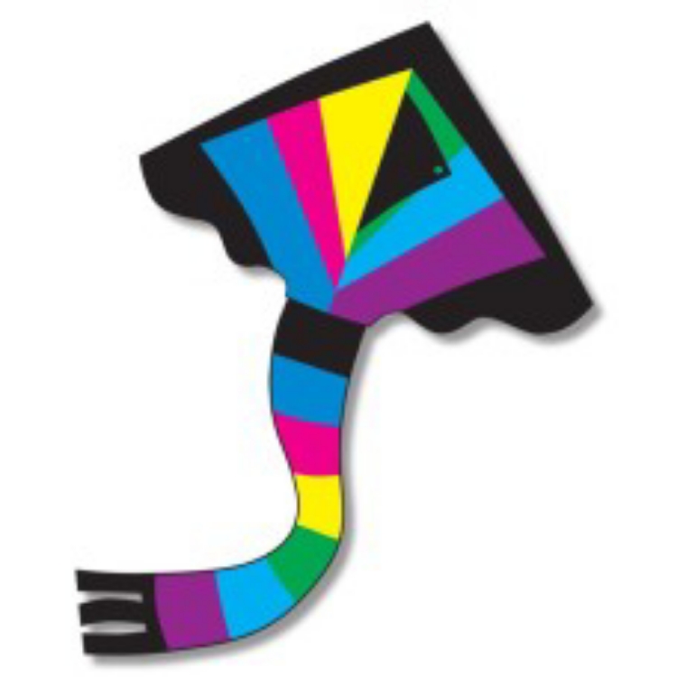 Image de Vlieger Delta regenboog 1 lijns 91 x 137 cm