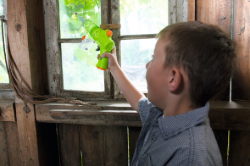 Terra kids Insectenzuiger HABA Insectenzuigen