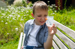Terra kids Insectenzuiger HABA Gevangen insect
