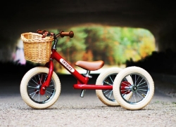 Trybike steel fietsmandje rotan