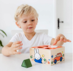 Image de Nijntje Houten Vormenstoof 18 mnd+ Bambolino Toys