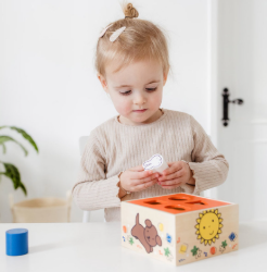 Image de Nijntje Houten Vormenstoof 18 mnd+ Bambolino Toys