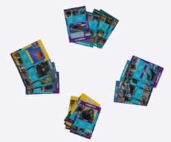 Bild von Een weetjes kwartet Zeeleven 6+