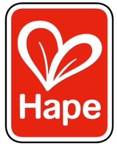 Image du fabricant Hape