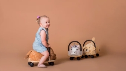 Picture of Wheelybug Hoes Hond Small – loopwagenhoes