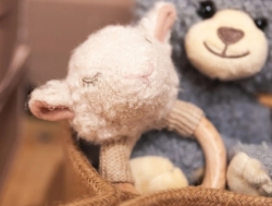 Egmont Toys – Baby Rammelaar & Bijtring - Schaap Mary - Biologisch katoen - Vanaf 0 jr