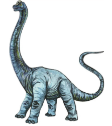 HABA De dino's op het spoor spel Dino