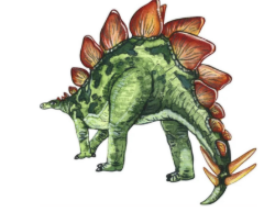 HABA De dino's op het spoor spel Dino