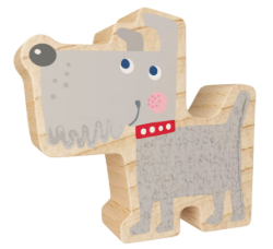 My 1st Block World Hond Hektor Voorkant