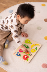 HABA Houten Knoppuzzel Kleuren Fruit