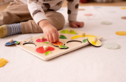 HABA Houten Knoppuzzel Kleuren Fruit