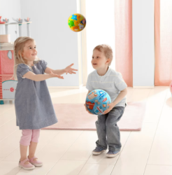 HABA Speelbal Voertuigen