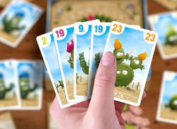 HABA King Cactus