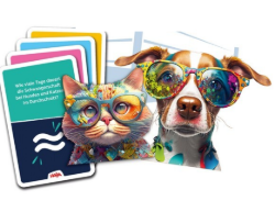 HABA Team Quiz Challenge