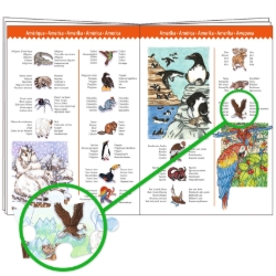 Djeco Dieren van de wereld – ontdekkingspuzzel van 100 stukjes – vanaf 5 jaar